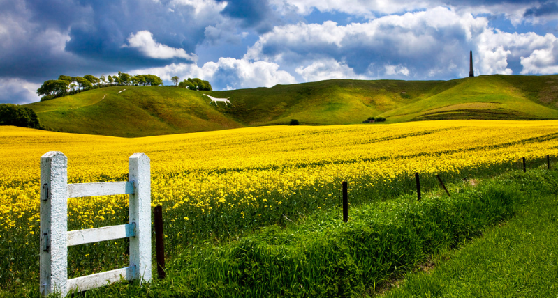 Cherhill White Horse